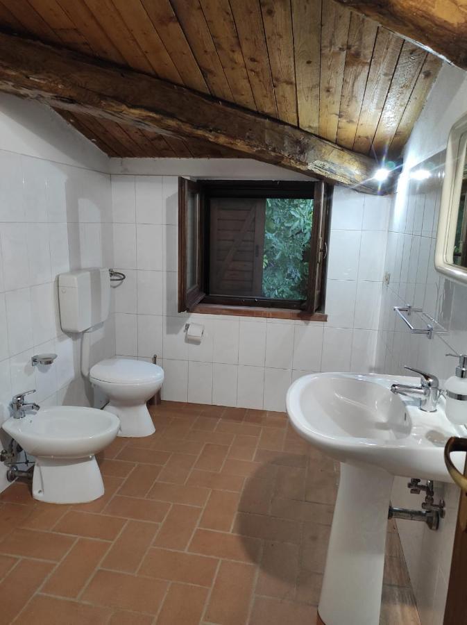 Agriturismo Difesa Del Monte Grisolia Ngoại thất bức ảnh