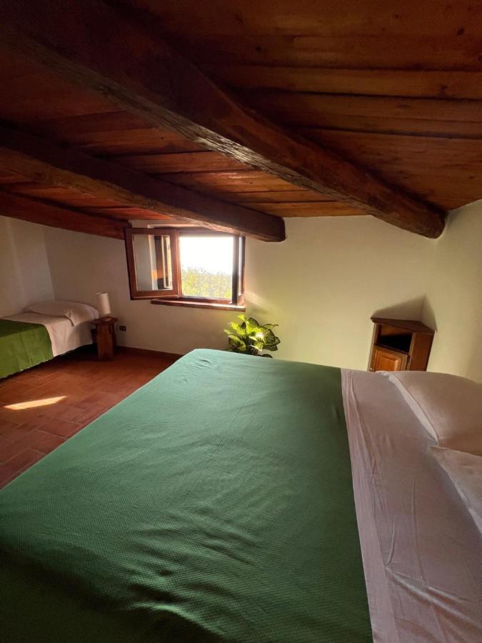 Agriturismo Difesa Del Monte Grisolia Ngoại thất bức ảnh